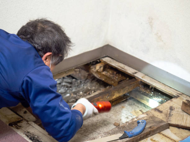 Crawl Space Mold Removal in Highpoint, OH