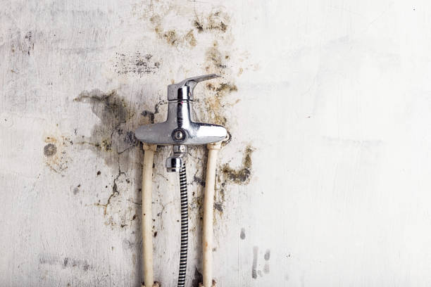 Mold Testing and Removal in Highpoint, OH