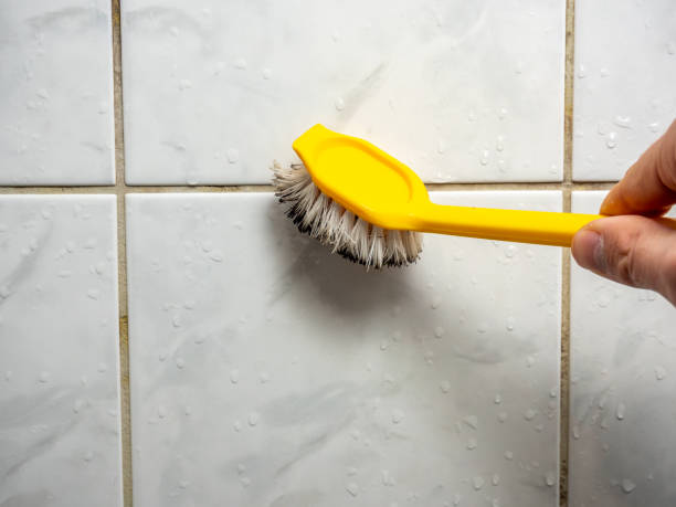 Best Commercial Mold Removal  in Highpoint, OH