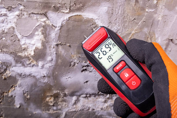 Trusted Highpoint, OH Mold Removal Experts