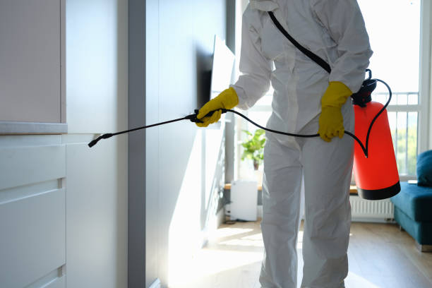 Best Mold Cleaning Services  in Highpoint, OH
