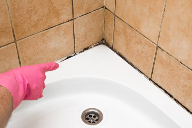 Best Mold Testing  in Highpoint, OH